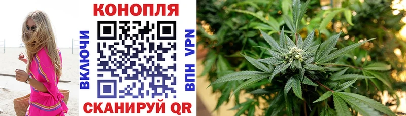 Канабис семена купить наркоту Верхотурье